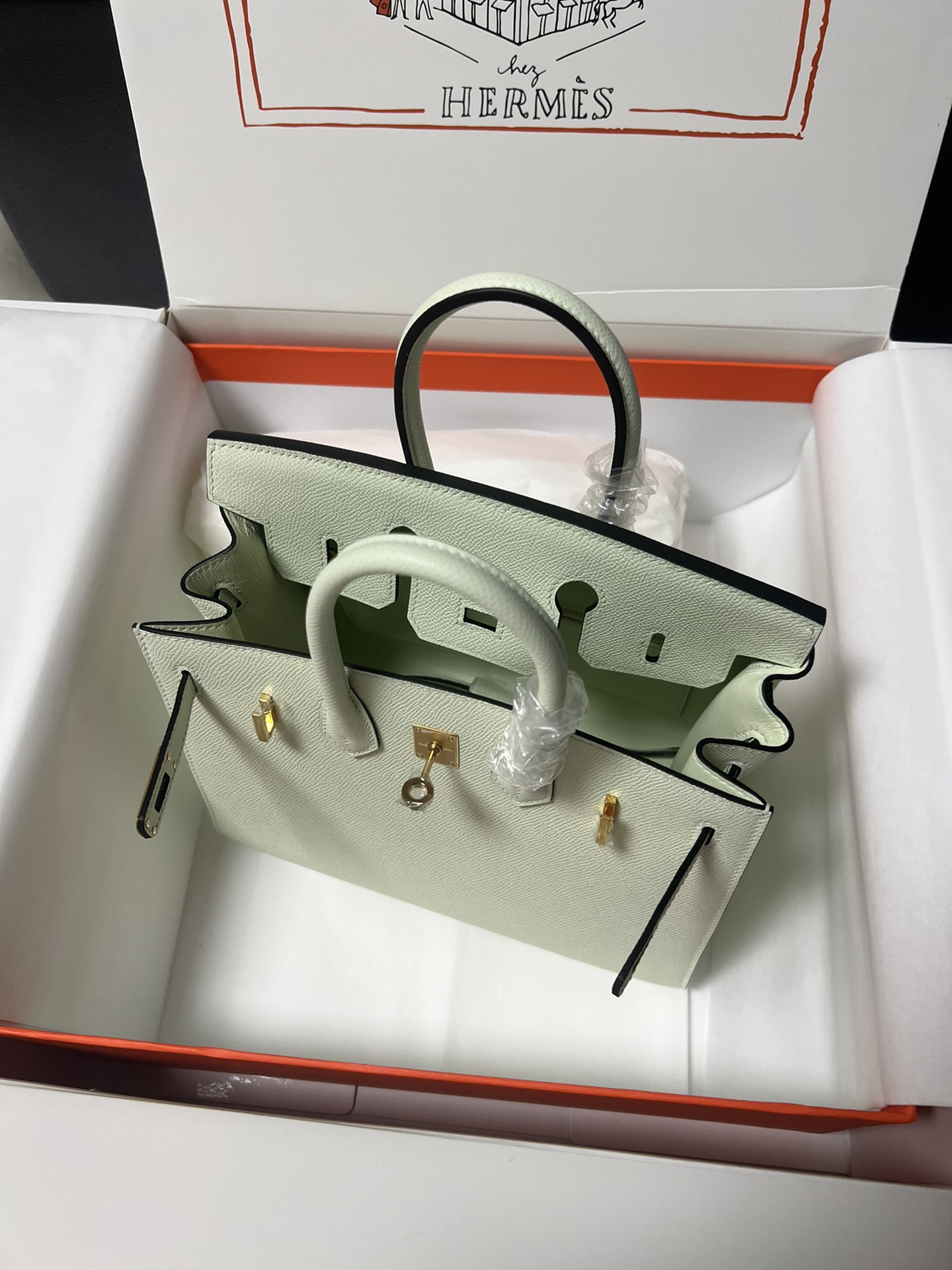 Birkin/Birkin-25cm-Epsom-Bubble-Green-GHW/img_008