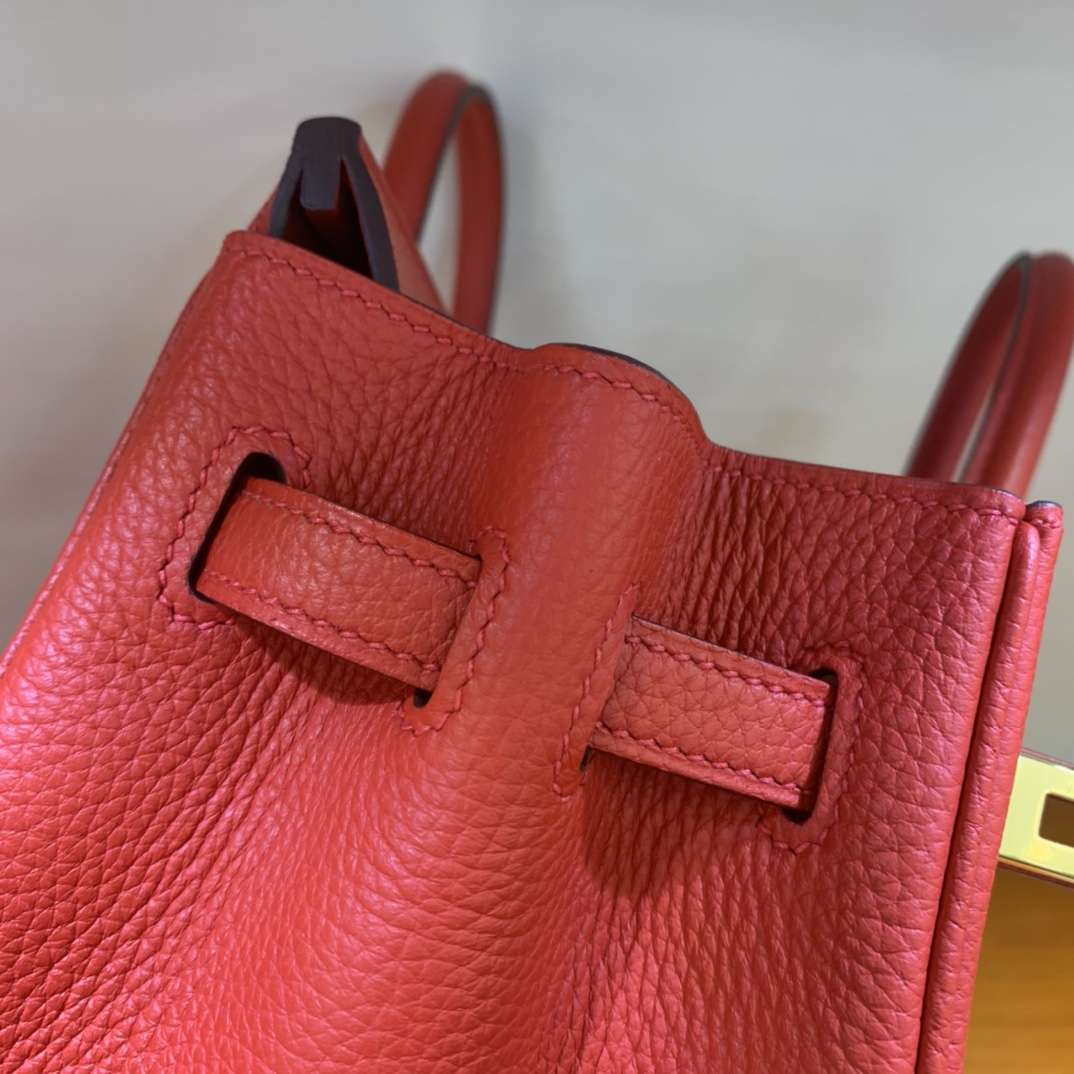 Birkin/Birkin-25cm-togo-Flag-Red-GHW/img_007