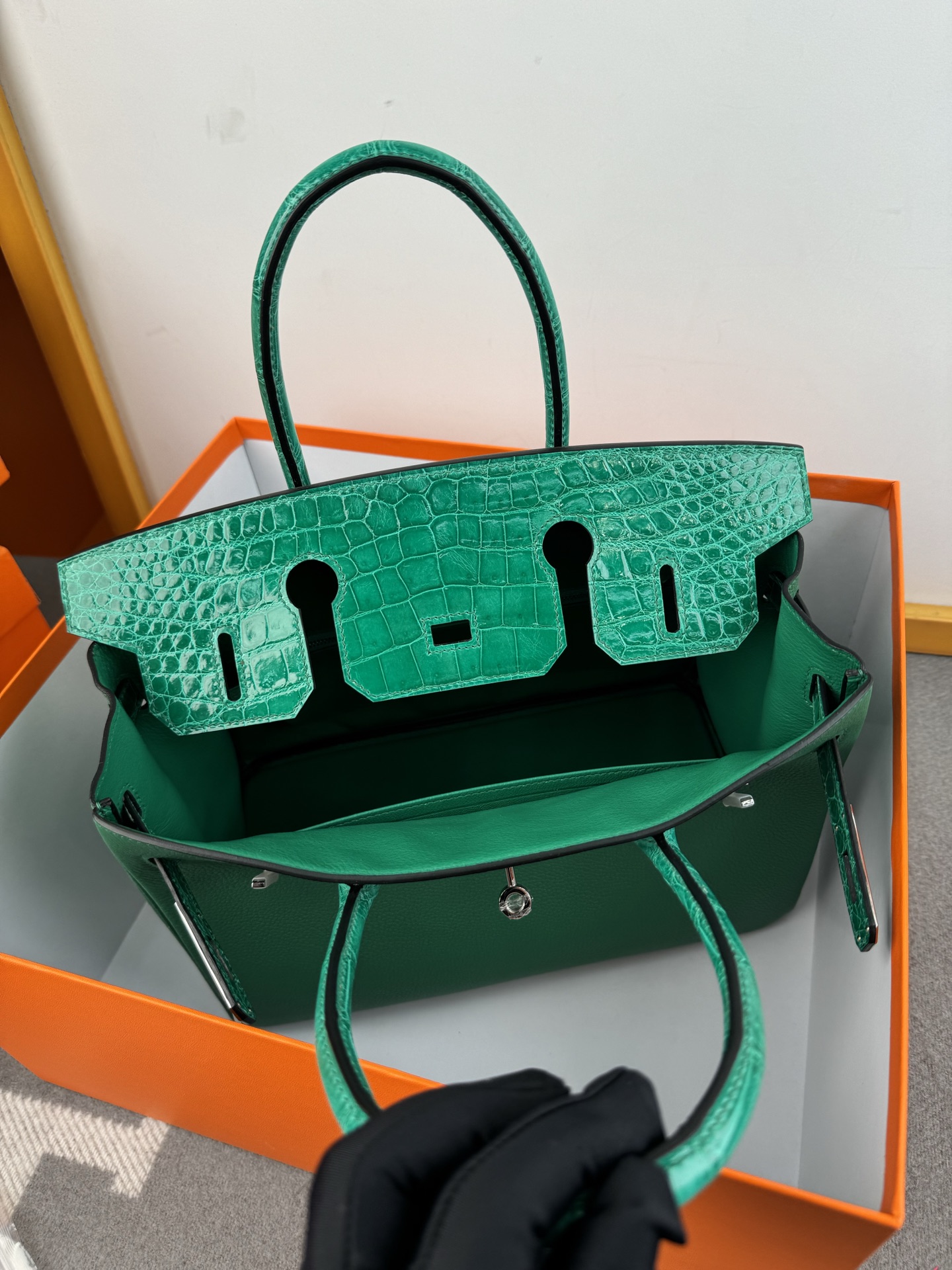 Birkin/Birkin-30cm-touch-Togo-and-Shiny-Crocodile-Jade-Green-SHW/img_008