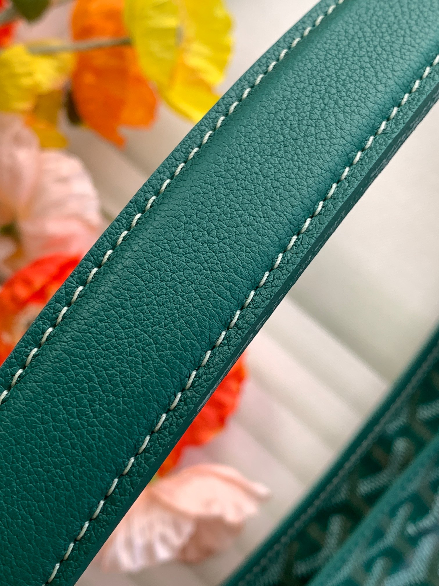 Goyard/Hobo-Red-Heart-27cmx42cm-Green/img_009