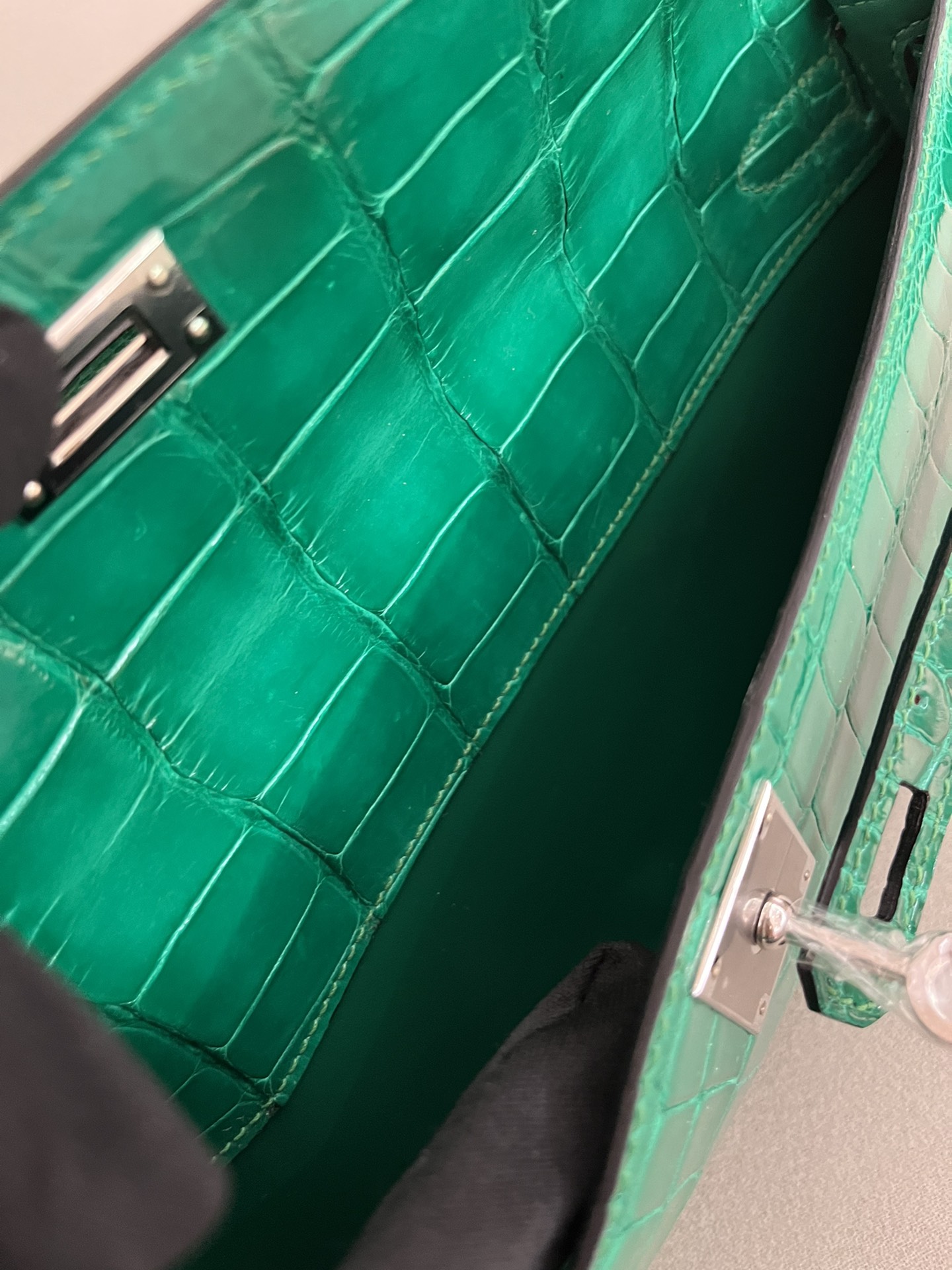 Kelly/Kelly-cut-31cm-Crocodile-Jade/img_009