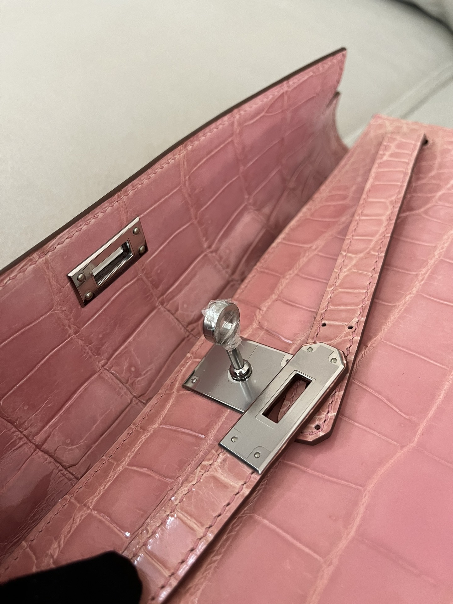 Kelly/Kelly-cut-31cm-Crocodile-Sakula/img_008