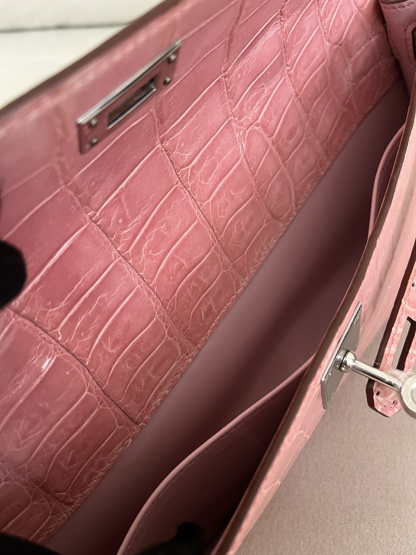 Kelly/Kelly-cut-31cm-Crocodile-Sakula/img_009